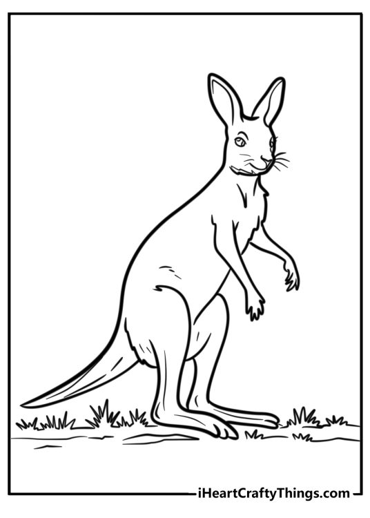 Free black-and-white poster featuring realistic kangaroo posing in a grassy field