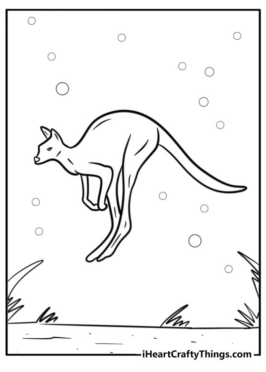 Coloring book page for children featuring realistic kangaroo leaping through the air
