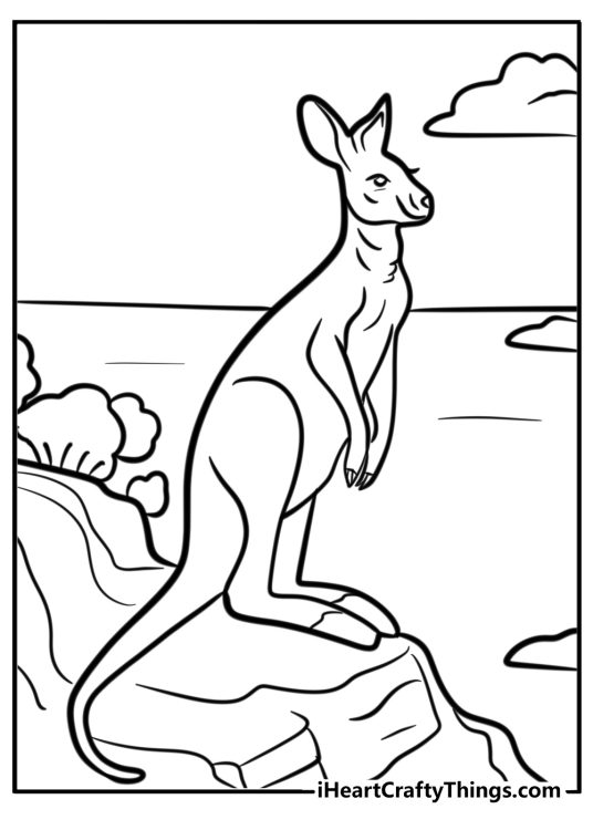 Free coloring sheet for children featuring realistic kangaroo posing on a rock on the coast