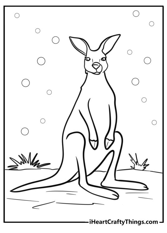 Free printable coloring page featuring kangaroo with large feet resting outdoors