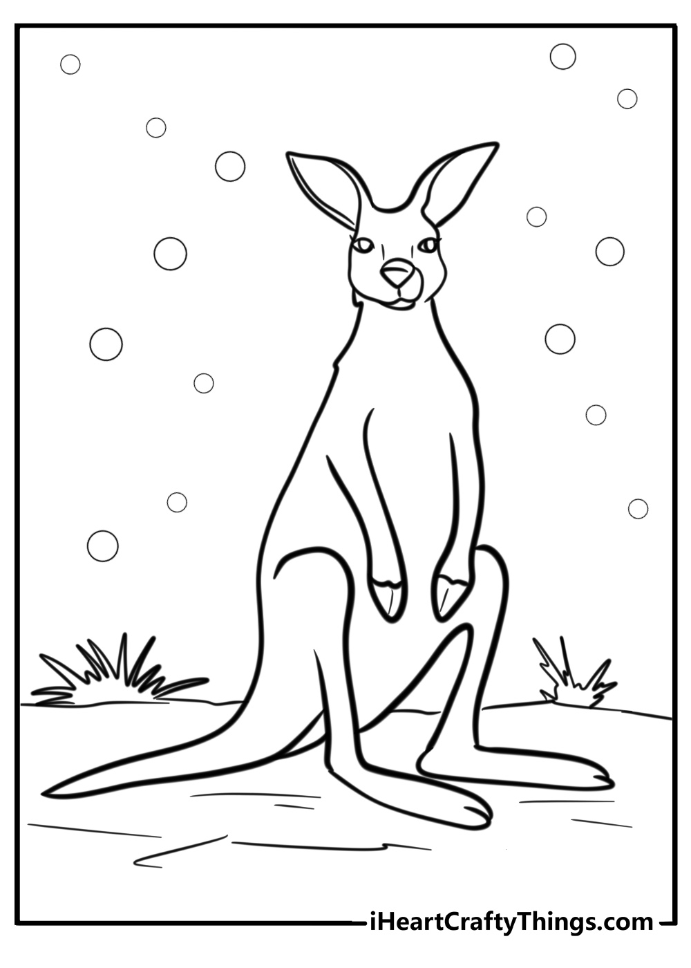 Kangaroo with large feet detailed coloring sheet