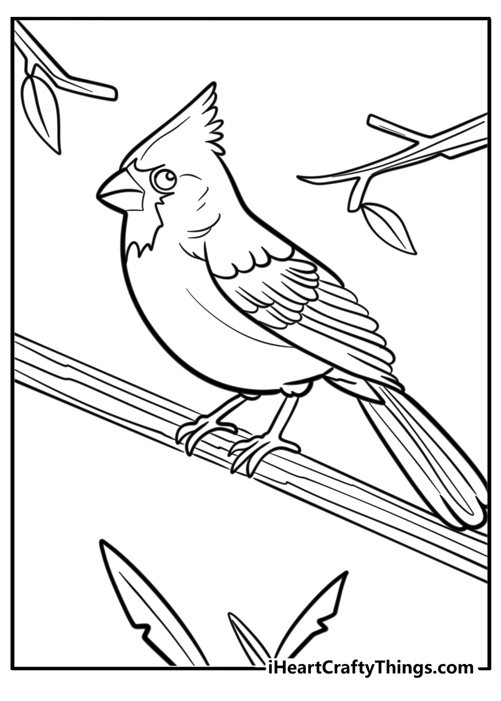 Male cardinal with bright feathers coloring page