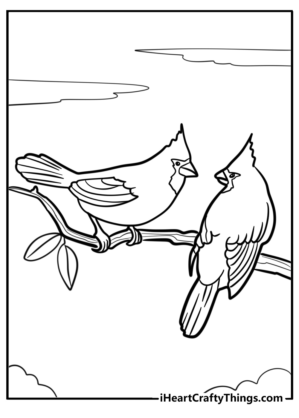 Pair of cardinals sitting side by side detailed coloring sheet