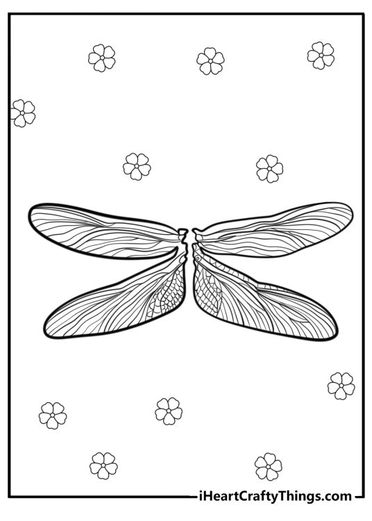 Realistic dragonfly wings detailed coloring sheet