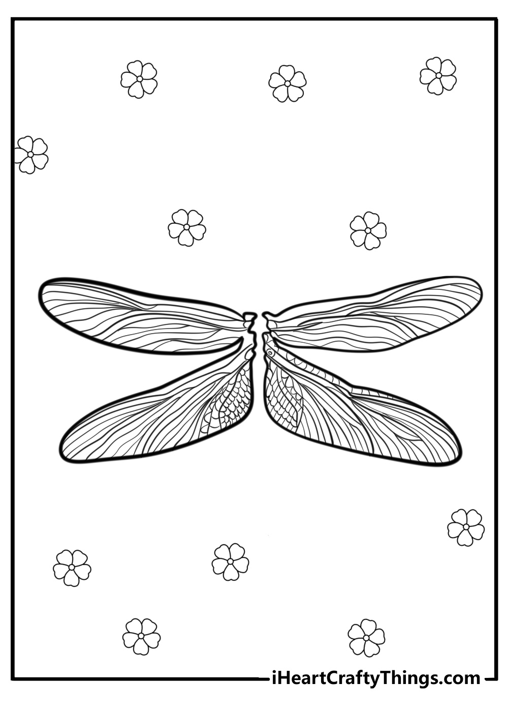 Realistic dragonfly wings detailed coloring sheet