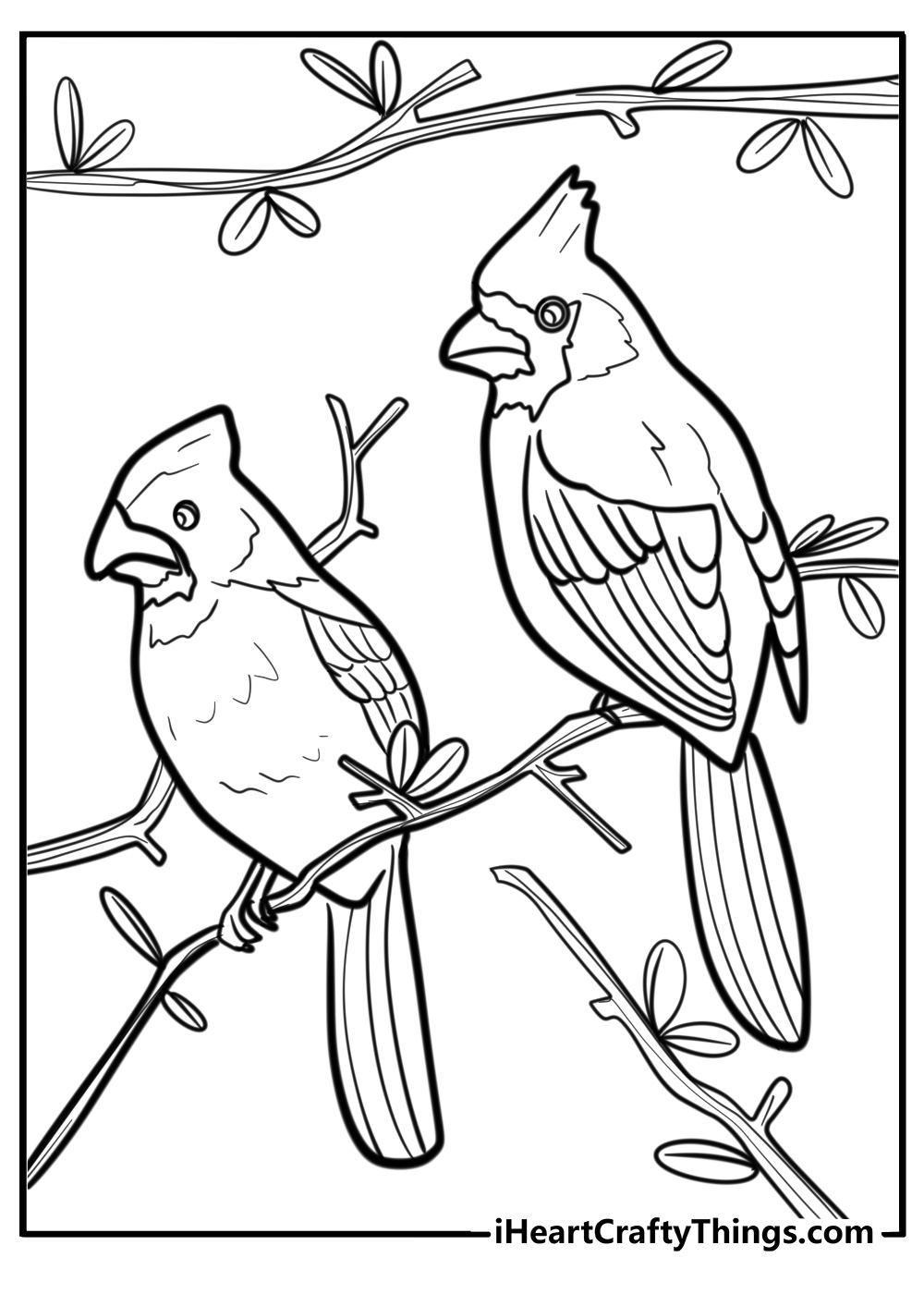 Two cardinals sitting together fun printable coloring sheet