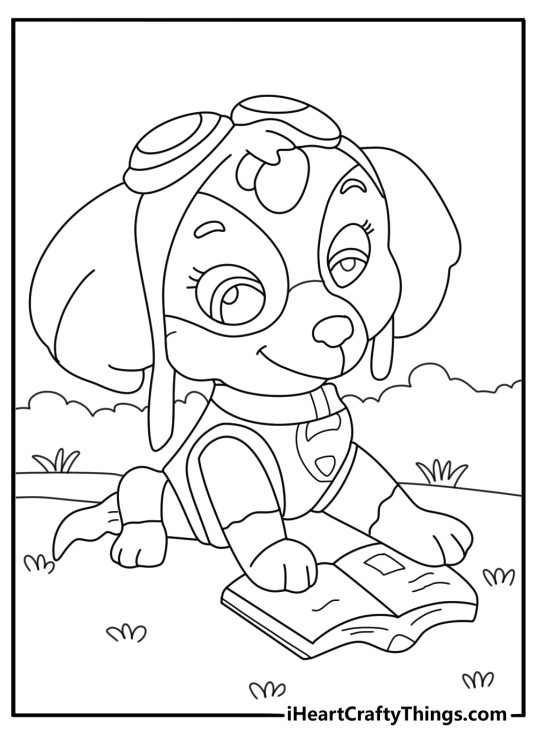 Detailed coloring page presenting Skye from the Paw Patrol reading a book in the meadow