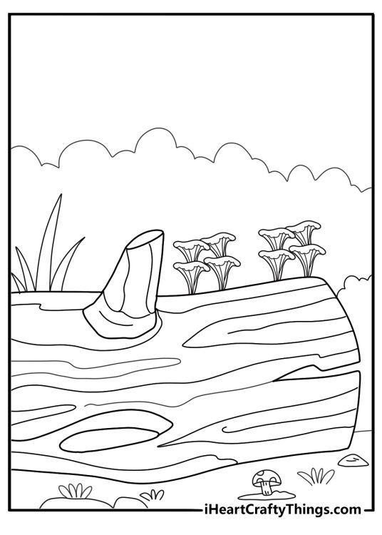 Detailed forest scene with mushrooms growing on a fallen tree trunk coloring sheet