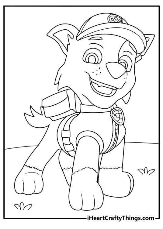 Detailed printable picture to color featuring smiling Rocky from the Paw Patrol