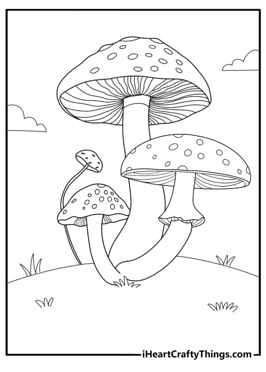 Group of mushrooms growing on a hill detailed outdoor scene coloring page