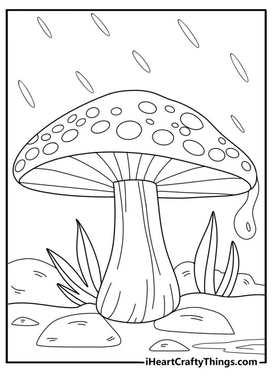 Large mushroom with raindrops falling on its cap rainy day coloring sheet