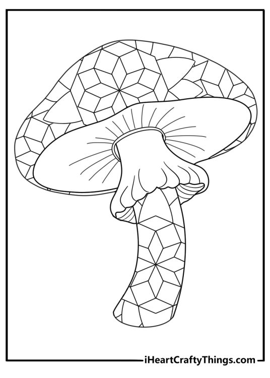Mandala mushroom design with intricate geometric patterns for adults coloring page