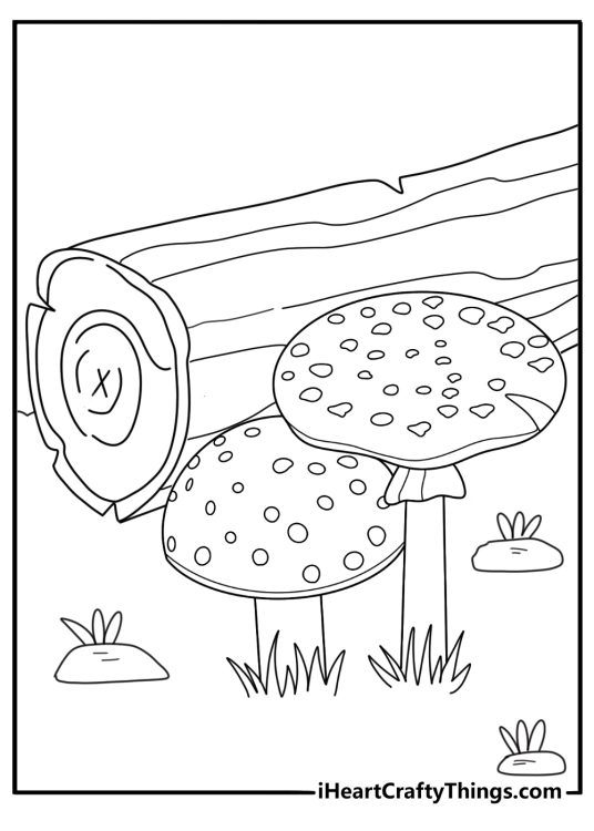 Mushrooms growing near a wooden log detailed forest floor coloring page