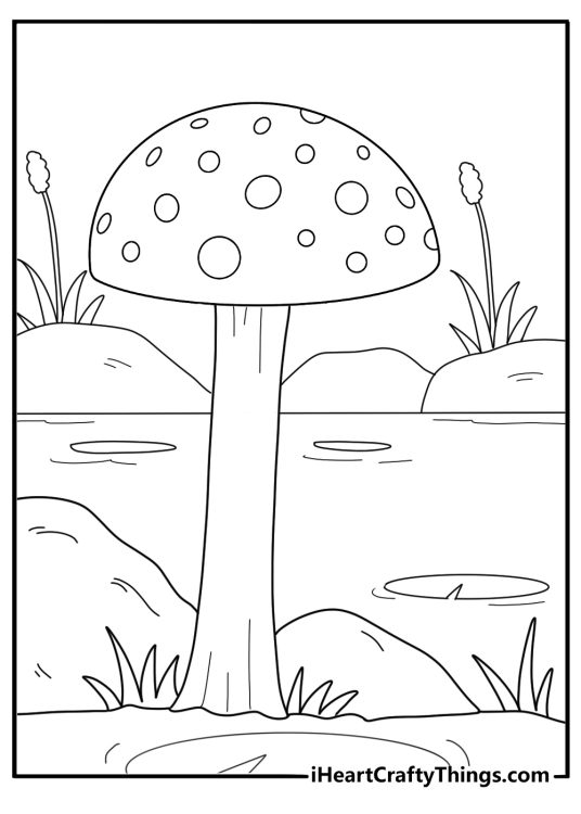 Mushrooms with tall thin stems growing in water near lily pads coloring page