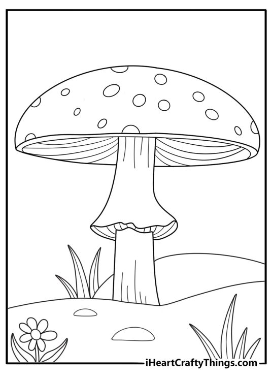 Single tall mushroom with flat cap growing in the meadow simple coloring sheet
