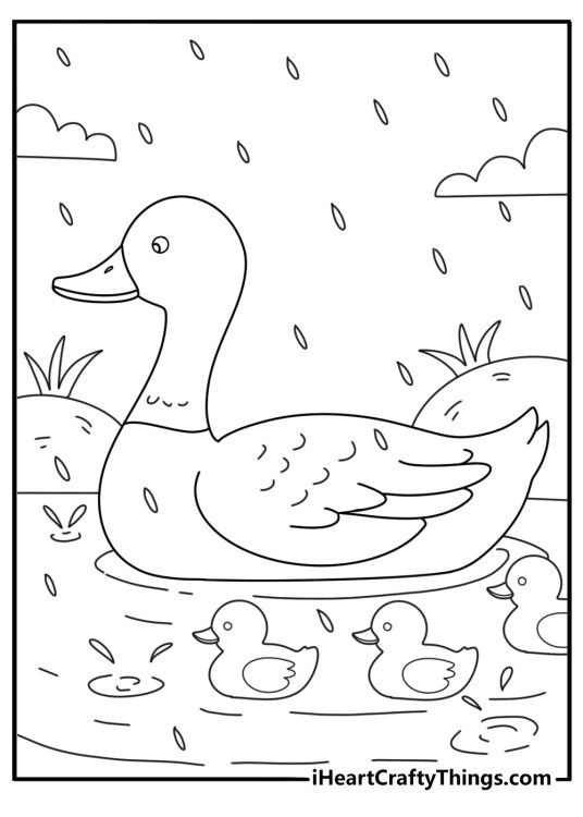Spring rain coloring page with ducks swimming in a pond