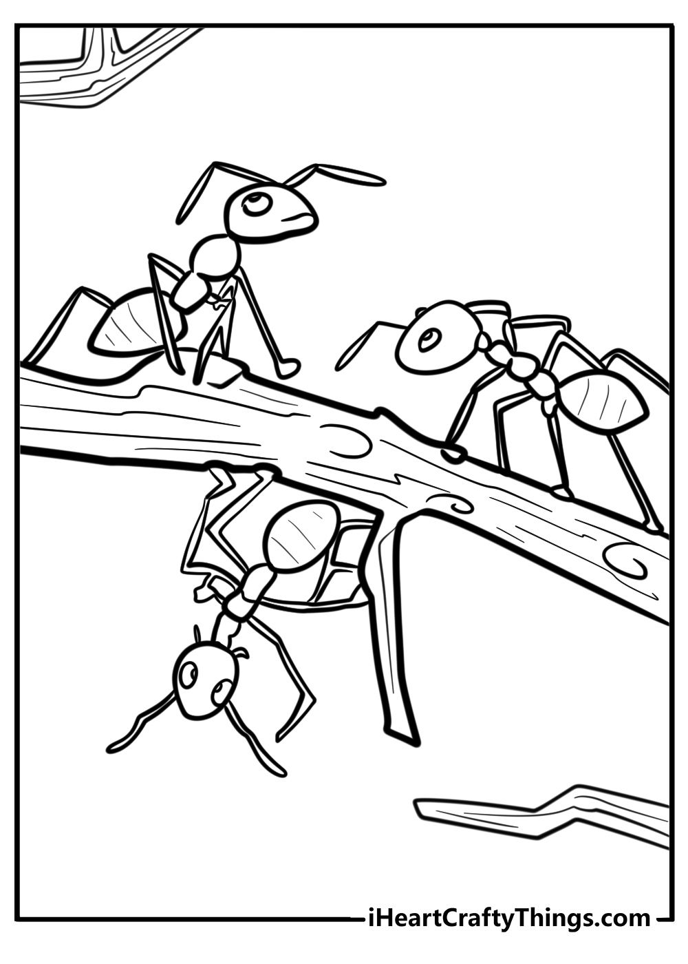 Ant on a tree branch detailed coloring sheet