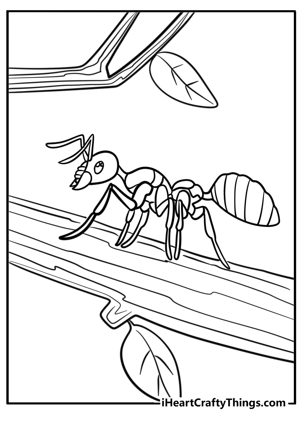 Ant walking on a branch free coloring page pdf