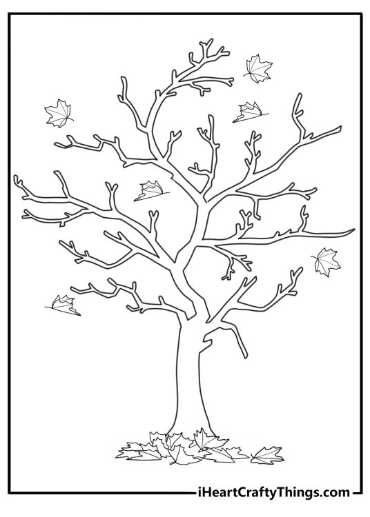 autumn tree with falling leaves thanksgiving coloring sheet