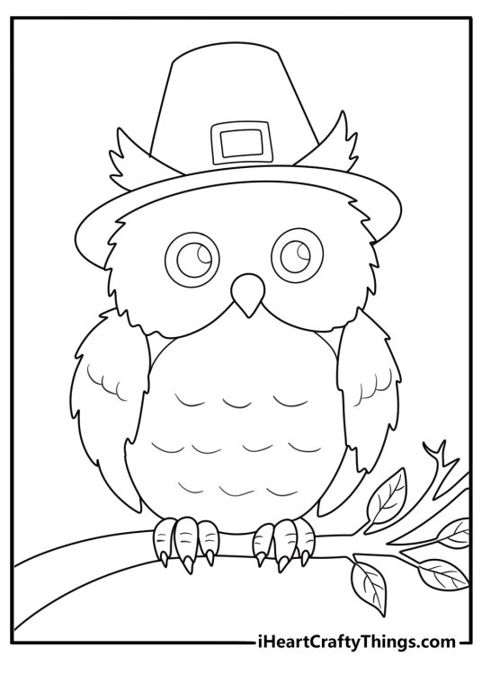 cartoon owl wearing pilgrim hat thanksgiving coloring sheet