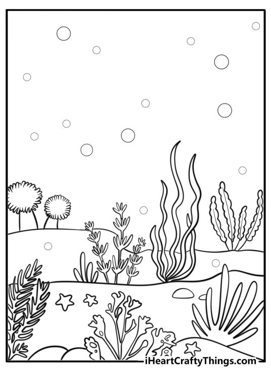 Coral reef with beautiful marine plants detailed sheet