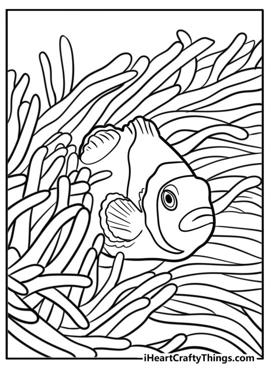 Coral reef with clownfish and anemone coloring page