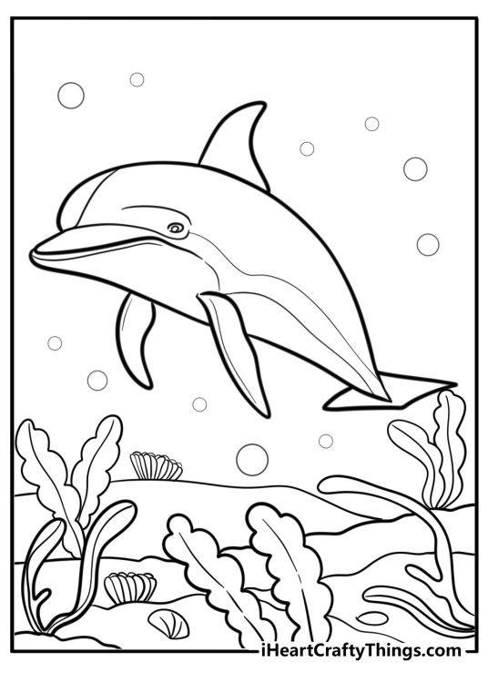 Coral reef with dolphins swimming fun coloring sheet