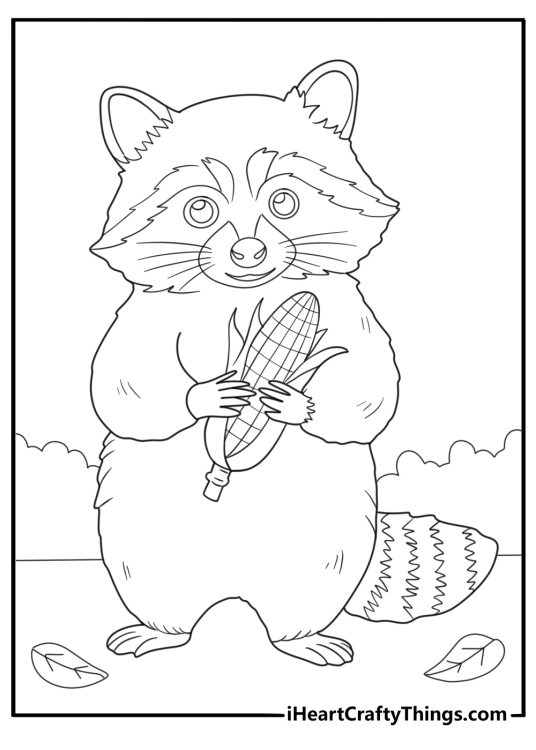 cute raccoon holding corn thanksgiving coloring page for kids