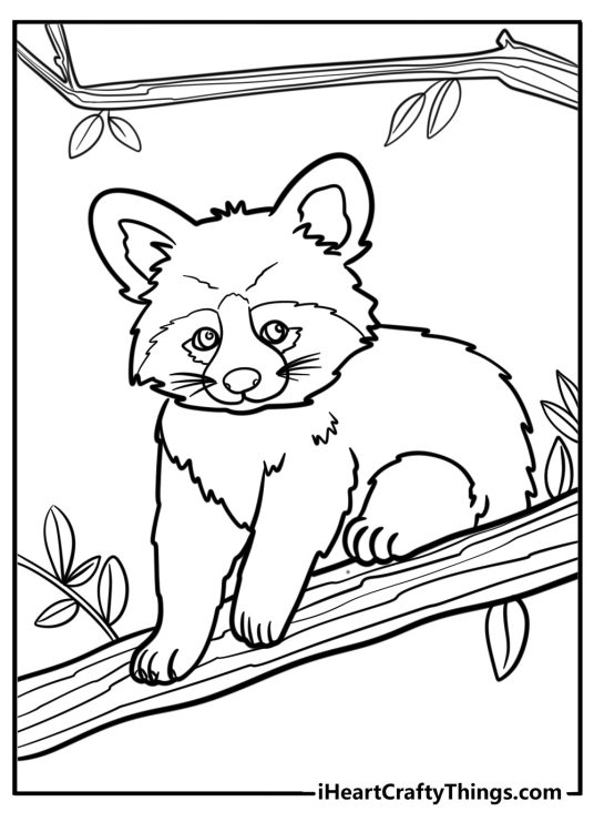 Free printable coloring picture for kids featuring red panda sitting on a tree branch