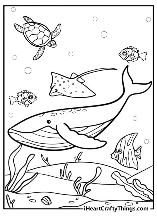 Diverse coral reef with many marine animals fun coloring sheet