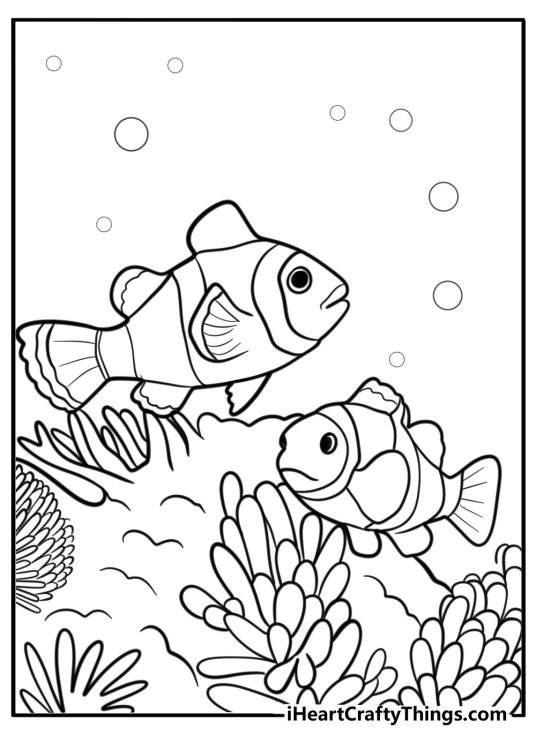 Fish exploring coral reef free coloring page pdf