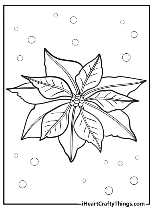 Christmas-inspired coloring image presenting Poinsettia flower surrounded by small circles