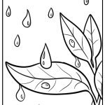 Raindrops falling on leaves detailed coloring sheet