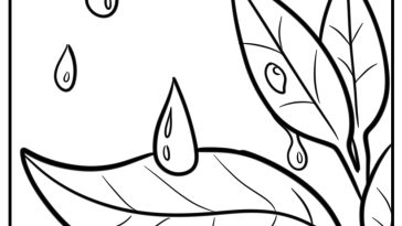 Raindrops falling on leaves detailed coloring sheet