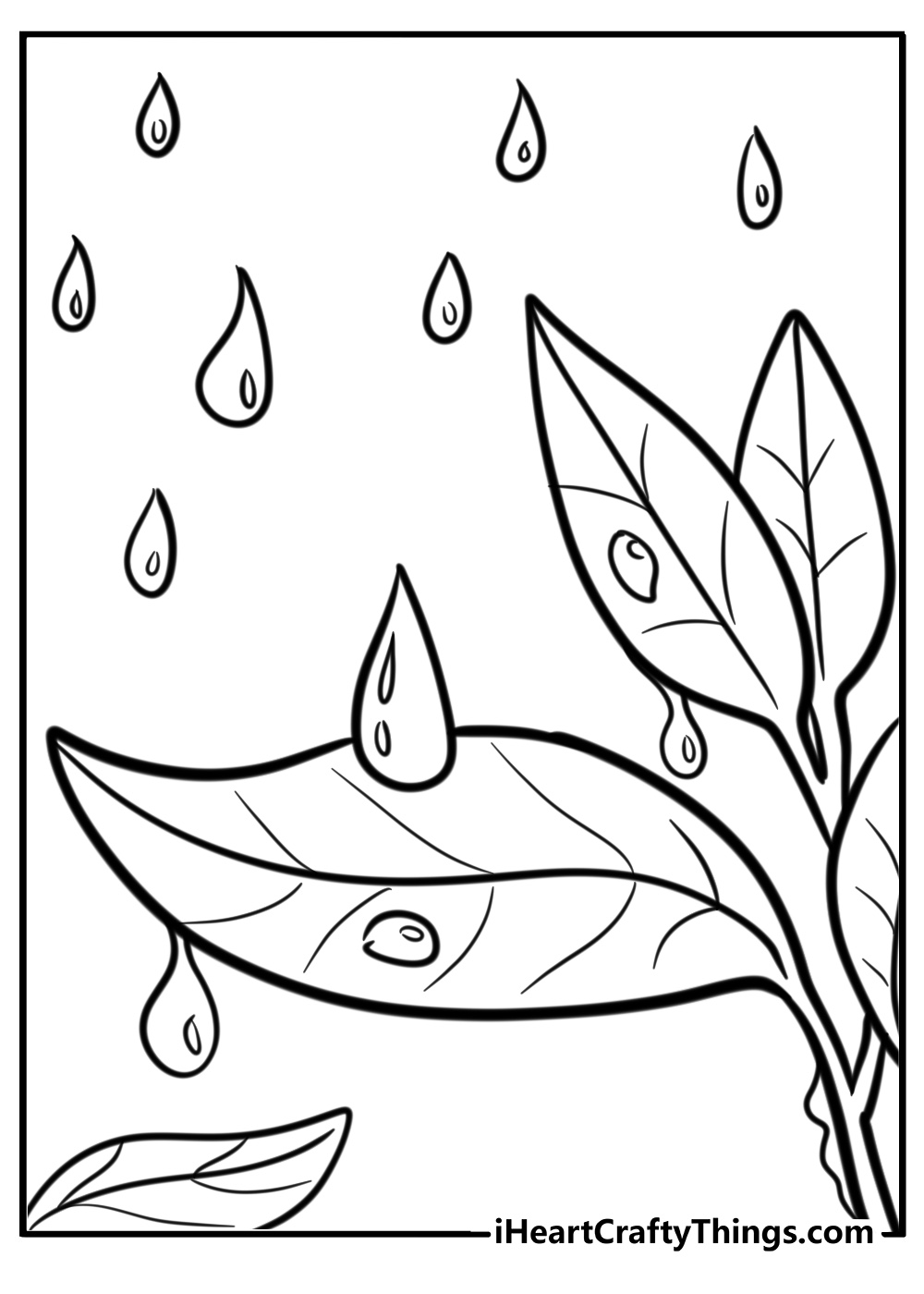 Raindrops falling on leaves detailed coloring sheet