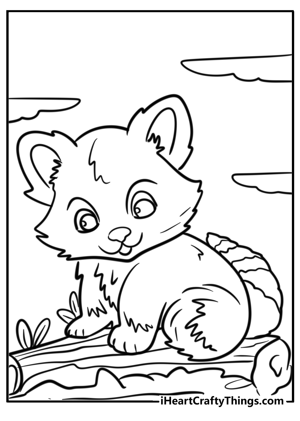 Red panda and its fluffy fur detailed coloring sheet