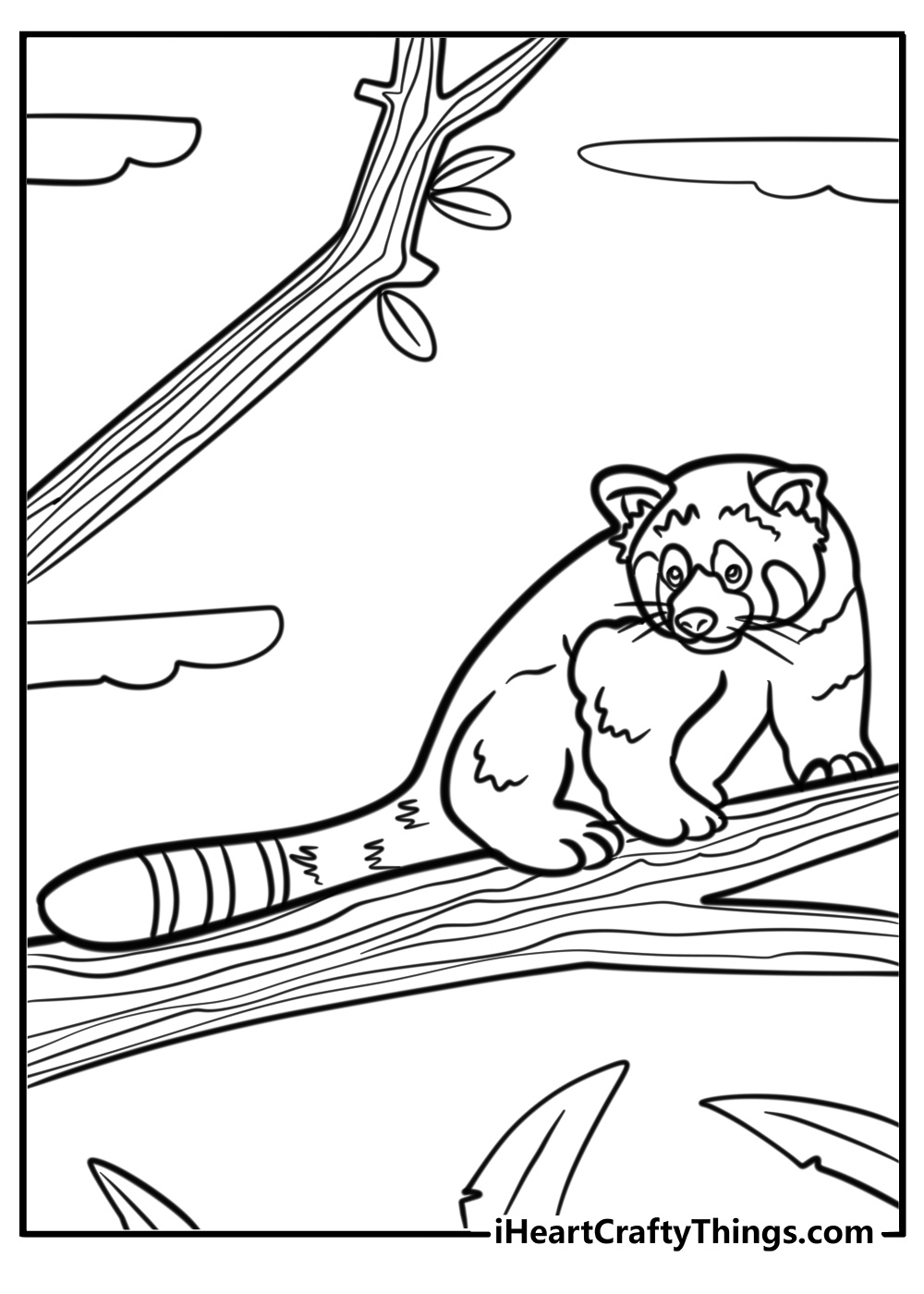 Red panda balancing on a tree limb free coloring page pdf