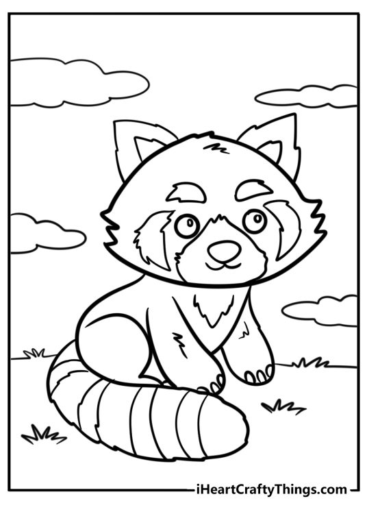 Red panda coloring pages