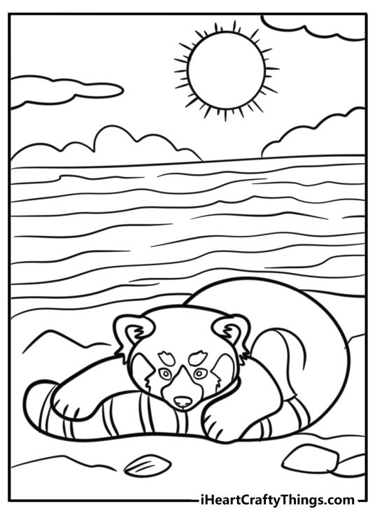 Free picture to print and color featuring red panda enjoying a rest at the beach on a sunny day