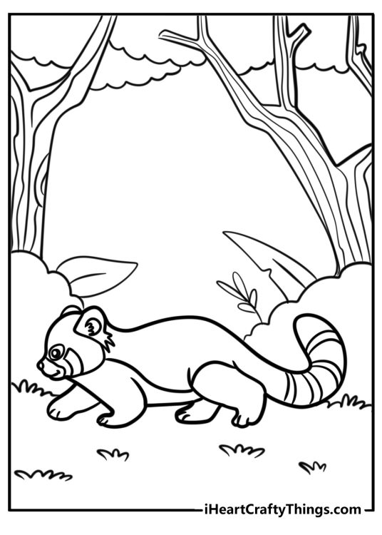 Free coloring printable featuring red panda with long stripy tail exploring the forest