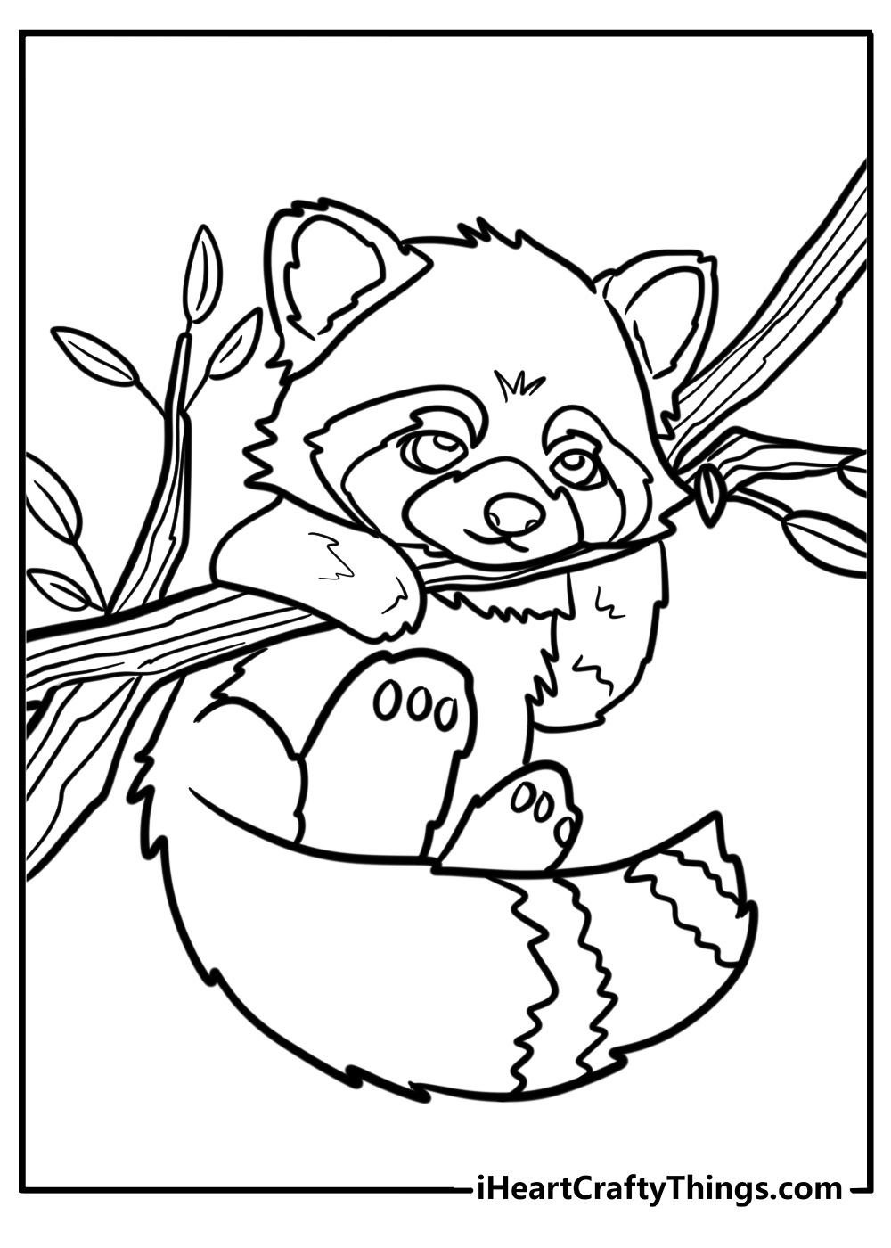 Red panda hanging from a tree branch detailed coloring sheet