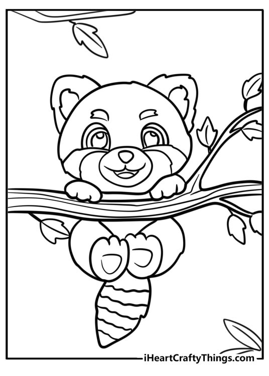 Free pdf to download and color featuring playful red panda hanging from a tree branch