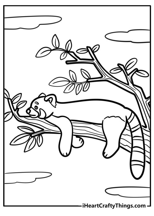 Coloring pdf featuring red panda relaxing on a tree with clouds in the background