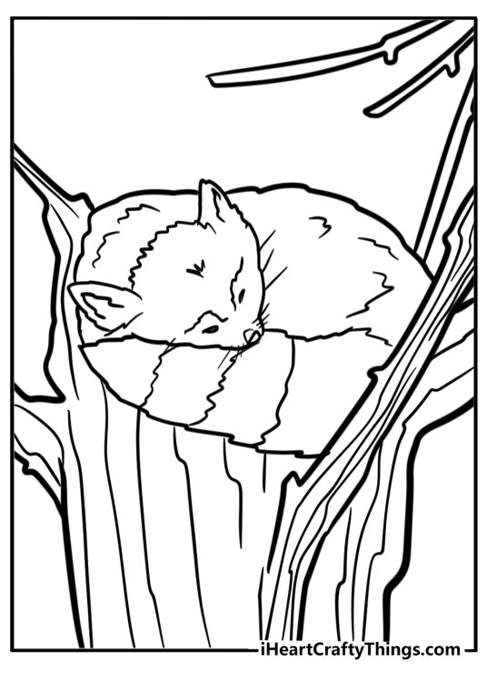 Detailed coloring picture for children featuring red panda resting in the treetop