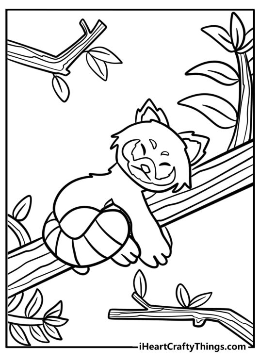 Printable coloring sheet for children of a cute red panda sleeping on a tree branch