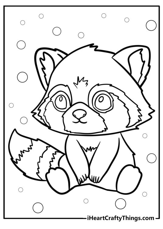 Printable picture of a fluffy red panda with big round eyes looking like a teddy bear
