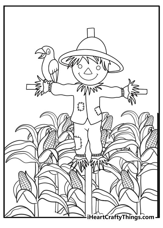 scarecrow in cornfield with crows thanksgiving printable coloring page
