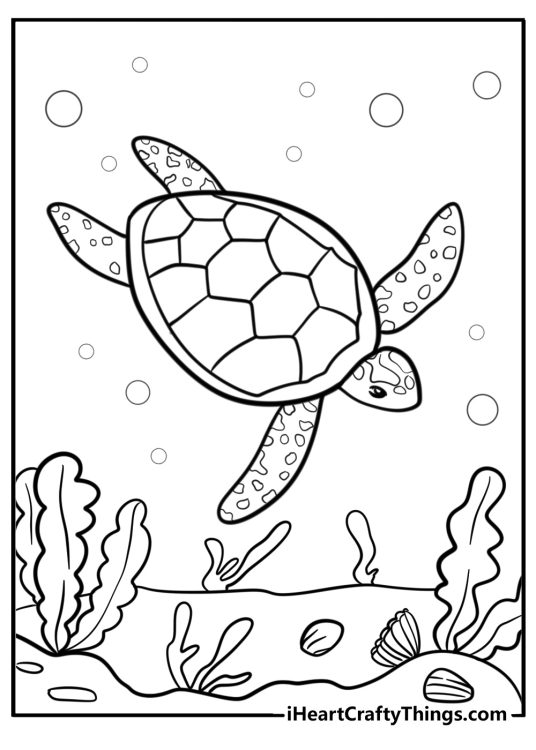 Sea turtle swimming near coral fun printable coloring sheet