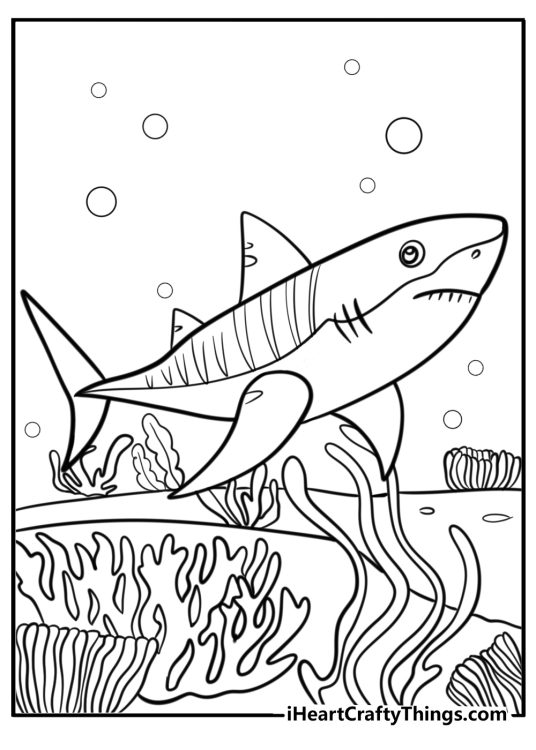 Shark swimming near a coral reef detailed coloring sheet