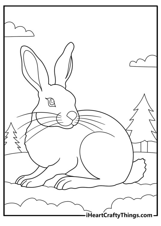 Arctic hare in the snow winter coloring page for kids